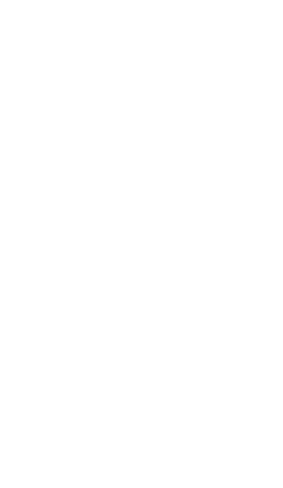 Eva Viva